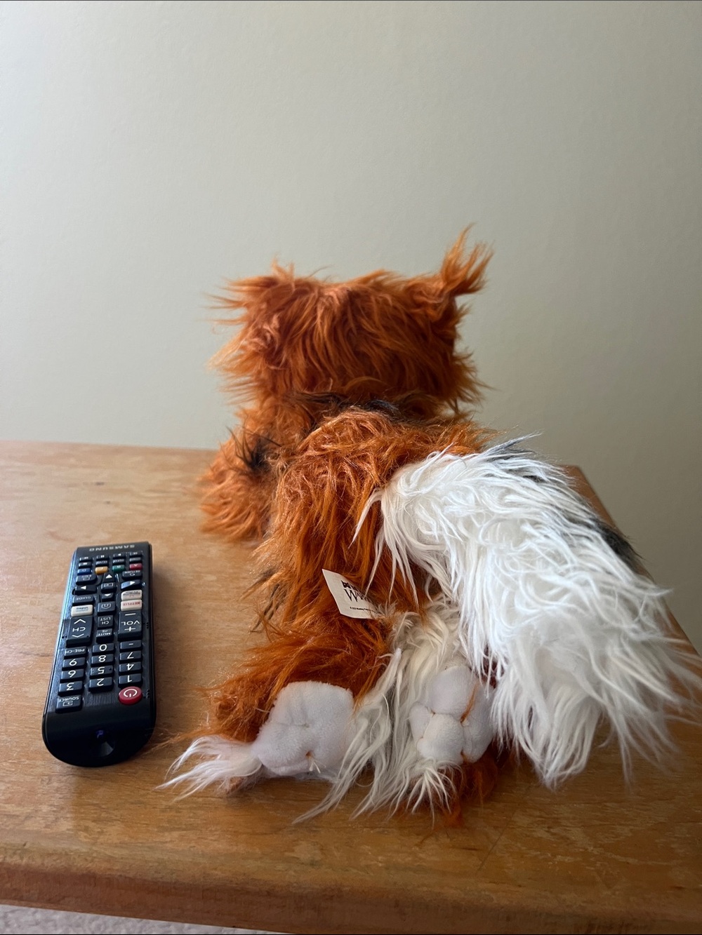 Warrior Cats Mapleshade cat plush official - Picture 5 of 6